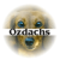 Ozdachs Consulting logo, Ozdachs Consulting contact details