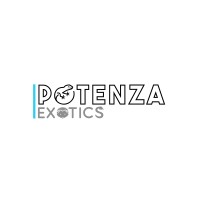 Potenza Exotics logo, Potenza Exotics contact details