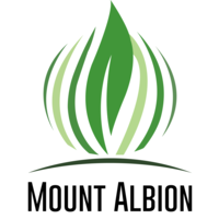 Mount Albion Group logo, Mount Albion Group contact details