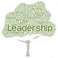 Old Growth Leadership Development logo, Old Growth Leadership Development contact details