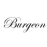 Burgeon Assets logo, Burgeon Assets contact details