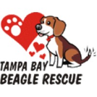 Tampa Bay Beagle Rescue, Inc. logo, Tampa Bay Beagle Rescue, Inc. contact details