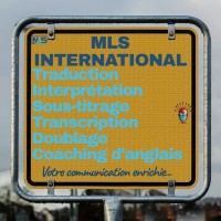 MLS (Multi-Language Services) International logo, MLS (Multi-Language Services) International contact details