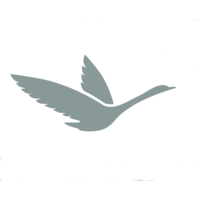 Crystal Goose logo, Crystal Goose contact details