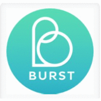 Burst Shopping logo, Burst Shopping contact details