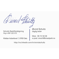 SCHULTZ BEDRIFTSRÅDGIVING logo, SCHULTZ BEDRIFTSRÅDGIVING contact details