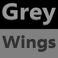 EISA Group | GreyWings logo, EISA Group | GreyWings contact details