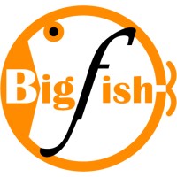 BigFish Enterprise Limited logo, BigFish Enterprise Limited contact details