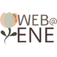 WebEne, IL logo, WebEne, IL contact details