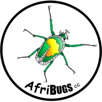 AFRIBUGS logo, AFRIBUGS contact details