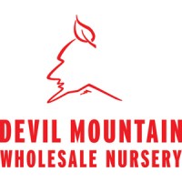 Devil Mountain Wholesale Nursery logo, Devil Mountain Wholesale Nursery contact details