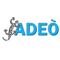 ADEÒ Business Solutions LLC logo, ADEÒ Business Solutions LLC contact details