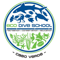 Eco Dive School Cabo Verde logo, Eco Dive School Cabo Verde contact details