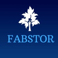 Fabstor Export Import logo, Fabstor Export Import contact details