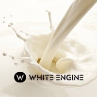 White Engine logo, White Engine contact details