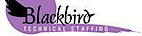 Blackbird Technical Staffing logo, Blackbird Technical Staffing contact details