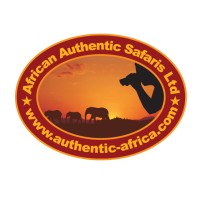 African Authentic Safaris logo, African Authentic Safaris contact details