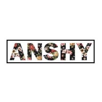 ANSHY logo, ANSHY contact details