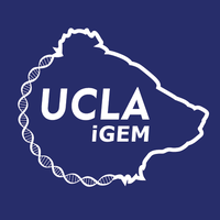 UCLA iGEM logo, UCLA iGEM contact details