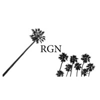 RGN Accountancy Group, Inc logo, RGN Accountancy Group, Inc contact details