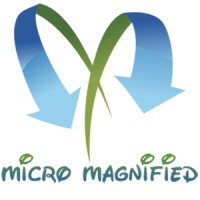 micro magnified Partners logo, micro magnified Partners contact details