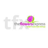 TFXPH Flowers and Gift Shop logo, TFXPH Flowers and Gift Shop contact details