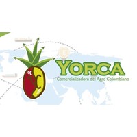 Yorca logo, Yorca contact details