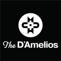 D'Amelio Family LLC logo, D'Amelio Family LLC contact details