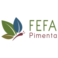 Fefa Pimenta Natural logo, Fefa Pimenta Natural contact details