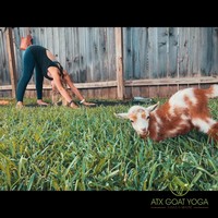 ATX Goat Yoga logo, ATX Goat Yoga contact details