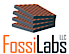 FossiLabs, LLC logo, FossiLabs, LLC contact details