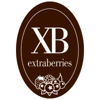 EXTRABERRIES logo, EXTRABERRIES contact details