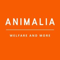 ANIMALIA - Welfare and more logo, ANIMALIA - Welfare and more contact details