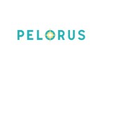 Pelorus Health logo, Pelorus Health contact details