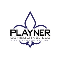 Playner Consulting, LLC logo, Playner Consulting, LLC contact details