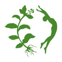 FeStevia logo, FeStevia contact details