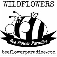 Bee Flower Paradise logo, Bee Flower Paradise contact details