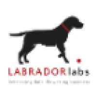 Labrador LLC logo, Labrador LLC contact details