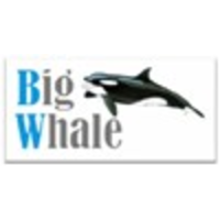 Big Whale I.T. Solutions Pvt. Ltd. logo, Big Whale I.T. Solutions Pvt. Ltd. contact details