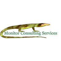 Monitor Consulting Services logo, Monitor Consulting Services contact details