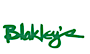 The Blakley Corporation logo, The Blakley Corporation contact details