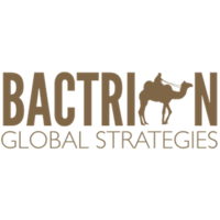 Bactrian Global Strategies logo, Bactrian Global Strategies contact details