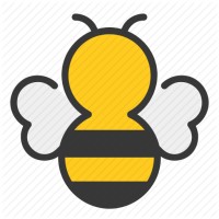 BussyBee Infotech logo, BussyBee Infotech contact details