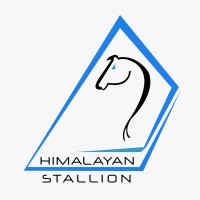 Himalayan Stallion logo, Himalayan Stallion contact details