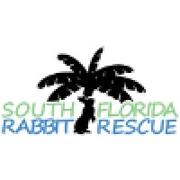 South Florida Rabbit Rescue logo, South Florida Rabbit Rescue contact details