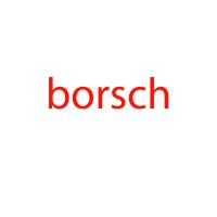 Borsch - Recruitment Of The Future logo, Borsch - Recruitment Of The Future contact details