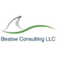 Beslow Consulting LLC logo, Beslow Consulting LLC contact details