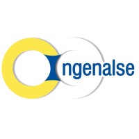 Ingenalse S.A logo, Ingenalse S.A contact details