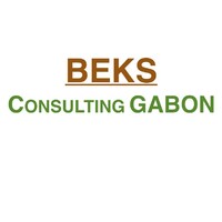 BEKS CONSULTING logo, BEKS CONSULTING contact details