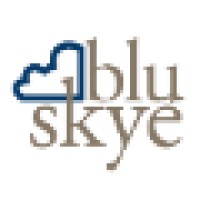 Blu Skye Consulting logo, Blu Skye Consulting contact details